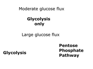 Moderate glucose flux
Glycolysis
only
Large glucose flux
Glycolysis
Pentose
Phosphate
Pathway
 