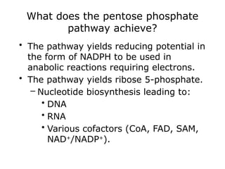 What does the pentose phosphate
pathway achieve?
• The pathway yields reducing potential in
the form of NADPH to be used in
anabolic reactions requiring electrons.
• The pathway yields ribose 5-phosphate.
– Nucleotide biosynthesis leading to:
• DNA
• RNA
• Various cofactors (CoA, FAD, SAM,
NAD+
/NADP+
).
 