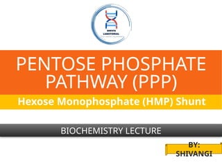 PENTOSE PHOSPHATE
PATHWAY (PPP)
Hexose Monophosphate (HMP) Shunt
BIOCHEMISTRY LECTURE
BY:
SHIVANGI
 