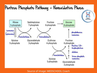 Source of image: MEDSCHOOL Coach
 