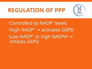 REGULATION OF PPP
Controlled by NADP⁺ levels
High NADP⁺ activates G6PD
→
Low NADP⁺ or high NADPH →
inhibits G6PD
 