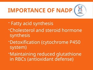 IMPORTANCE OF NADPH
 Fatty acid synthesis
Cholesterol and steroid hormone
synthesis
Detoxification (cytochrome P450
system)
Maintaining reduced glutathione
in RBCs (antioxidant defense)
 