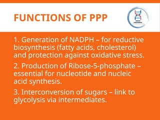 FUNCTIONS OF PPP
1. Generation of NADPH – for reductive
biosynthesis (fatty acids, cholesterol)
and protection against oxidative stress.
2. Production of Ribose-5-phosphate –
essential for nucleotide and nucleic
acid synthesis.
3. Interconversion of sugars – link to
glycolysis via intermediates.
 