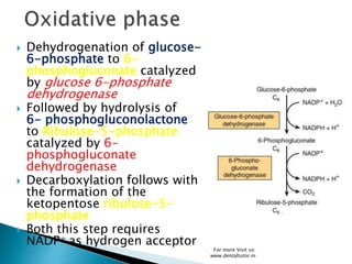 Dehydrogenation of glucose-
6-phosphate to 6-
phosphogluconate catalyzed
by glucose 6-phosphate
dehydrogenase
 Followed by hydrolysis of
6- phosphogluconolactone
to Ribulose-5-phosphate
catalyzed by 6-
phosphogluconate
dehydrogenase
 Decarboxylation follows with
the formation of the
ketopentose ribulose-5-
phosphate
 Both this step requires
NADP+ as hydrogen acceptor
For more Visit us:
www.dentaltutor.in
 