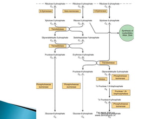 For more Visit us:
www.dentaltutor.in
 
