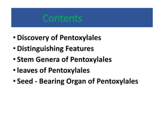 Contents
• Discovery of Pentoxylales
• Distinguishing Features
• Stem Genera of Pentoxylales
• leaves of Pentoxylales
• Seed - Bearing Organ of Pentoxylales
 