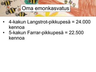 Oma emonkasvatus
• 4-kakun Langstrot-pikkupesä = 24.000
kennoa
• 5-kakun Farrar-pikkupesä = 22.500
kennoa

 