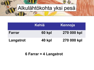 Alkulähtökohta yksi pesä
Kehiä

Kennoja

Farrar

60 kpl

270 000 kpl

Langstrot

40 kpl

270 000 kpl

6 Farrar = 4 Langstrot

 