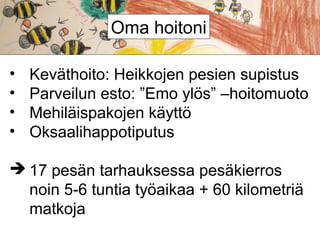 Oma hoitoni
•
•
•
•

Keväthoito: Heikkojen pesien supistus
Parveilun esto: ”Emo ylös” –hoitomuoto
Mehiläispakojen käyttö
Oksaalihappotiputus

 17 pesän tarhauksessa pesäkierros
noin 5-6 tuntia työaikaa + 60 kilometriä
matkoja

 