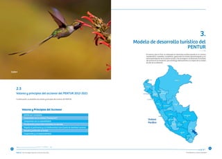 “Consolidando un Turismo Sostenible”
Valores y principios del accionar del PENTUR 2012-2021
A continuación, se presentan los valores y principios del accionar del PENTUR.
2.3	
Gestión por resultados
Compromiso con la calidad (“Excelencia”)
Compromiso con la sostenibilidad
Planiﬁcación y desarrollo orientados al mercado
Respeto al patrimonio y a la biodiversidad como fuente de identidad nacional
Respeto y protección al turista
Cooperación y corresponsabilidad
Valores y principios del accionarValores y Principios del Accionar
Modelo de desarrollo turístico del
PENTUR
3.
Océano
Pacíﬁco
Lambayeque
Piura
Tumbes
La Libertad
Cajamarca
Ucayali
Amazonas
San Martín
Ancash
Huánuco
Pasco
Loreto
Lima
Junín
Ayacucho
Huancavelica
Cusco
Apurímac
Arequipa
Puno
Moquegua
Tacna
Madre de Dios
Ica
En esencia, para el Perú, se contempla un desarrollo turístico basado en un turismo
multitemático, sostenible, competitivo, gestionado de manera descentralizada y con
activa participación de los actores locales, a fin de asegurar un desarrollo armonioso
del turismo en los territorios, que contribuya efectivamente a la mejora de la calidad
de vida de la población.
2120
Colibri
 
