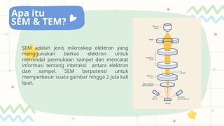 SEM (scanning ) AND TEM (transmission).. | PPTX