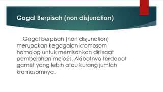 Gagal Berpisah (non disjunction)
Gagal berpisah (non disjunction)
merupakan kegagalan kromosom
homolog untuk memisahkan diri saat
pembelahan meiosis. Akibatnya terdapat
gamet yang lebih atau kurang jumlah
kromosomnya.
 