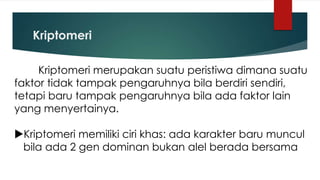 Kriptomeri
Kriptomeri merupakan suatu peristiwa dimana suatu
faktor tidak tampak pengaruhnya bila berdiri sendiri,
tetapi baru tampak pengaruhnya bila ada faktor lain
yang menyertainya.
Kriptomeri memiliki ciri khas: ada karakter baru muncul
bila ada 2 gen dominan bukan alel berada bersama
 