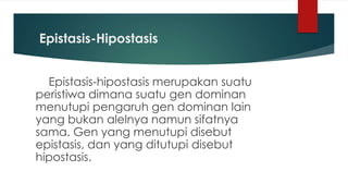 Epistasis-Hipostasis
Epistasis-hipostasis merupakan suatu
peristiwa dimana suatu gen dominan
menutupi pengaruh gen dominan lain
yang bukan alelnya namun sifatnya
sama. Gen yang menutupi disebut
epistasis, dan yang ditutupi disebut
hipostasis.
 