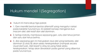 Hukum mendel 1(Segregation)
 hukum ini mencakup tiga pokok:
 1. Gen memiliki bentuk-bentuk alternatif yang mengatur variasi
pada karakter turunannya. Ini adalah konsep mengenai dua
macam alel; alel resisif dan alel dominan.
 2. Setiap individu membawa sepasang gen, satu dari tetua jantan
dan satu dari tetua betina.
 3. Jika sepasang gen ini merupakan dua alel yang berbeda, alel
dominan (S atau B) akan selalu terekspresikan (nampak secara
visual dari luar). Alel resesif (s atau b) yang tidak selalu
terekspresikan, tetap akan diwariskan pada gamet yang dibentuk
pada turunannya.
 