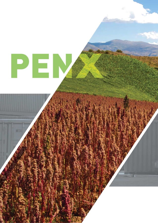 PENX 2025 Plan Estratégico Nacional Exportador 2025 PDF