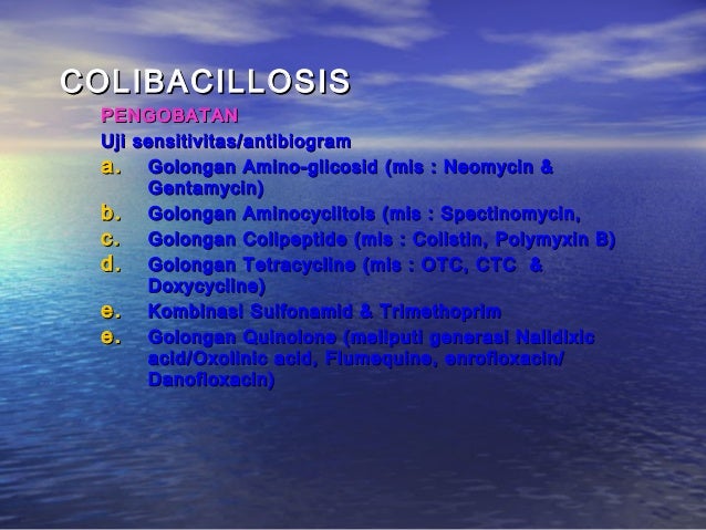 Peny. ungg (coli, fc, salm, pull, ic, crd)