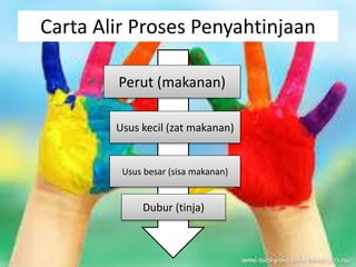 Carta Alir Proses Penyahtinjaan
Perut (makanan)
Usus kecil (zat makanan)
Usus besar (sisa makanan)
Dubur (tinja)
 