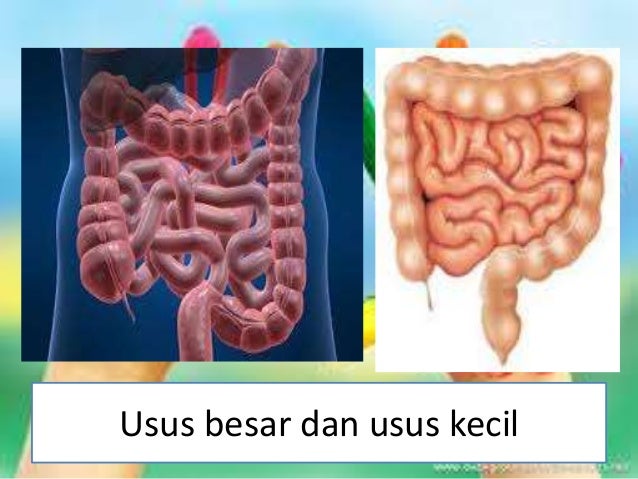 Penyahtinjaan