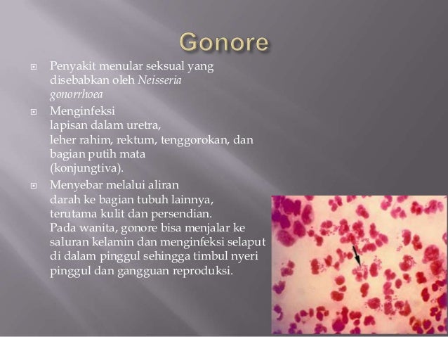 Penyakit Yang Disebabkan Oleh Bakteri 