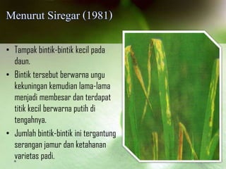 • Tampak bintik-bintik kecil pada
daun.
• Bintik tersebut berwarna ungu
kekuningan kemudian lama-lama
menjadi membesar dan terdapat
titik kecil berwarna putih di
tengahnya.
• Jumlah bintik-bintik ini tergantung
serangan jamur dan ketahanan
varietas padi.
 