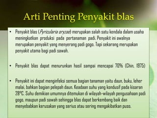 Arti Penting Penyakit blas
• Penyakit blas (Pyricularia oryzae) merupakan salah satu kendala dalam usaha
meningkatkan produksi pada pertanaman padi. Penyakit ini awalnya
merupakan penyakit yang menyerang padi gogo. Tapi sekarang merupakan
penyakit utama bagi padi sawah.
• Penyakit blas dapat menurunkan hasil sampai mencapai 70% (Chin, 1975)
• Penyakit ini dapat menginfeksi semua bagian tanaman yaitu daun, buku, leher
malai, bahkan bagian pelepah daun. Keadaan suhu yang kondusif pada kisaran
28°C. Suhu demikian umumnya ditemukan di wilayah-wilayah pengusahaan padi
gogo, maupun padi sawah sehingga blas dapat berkembang baik dan
menyebabkan kerusakan yang serius atau sering mengakibatkan puso.
 