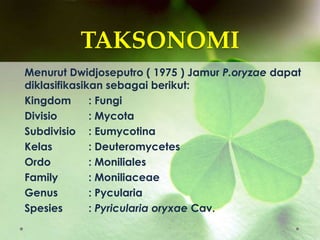 TAKSONOMI
Menurut Dwidjoseputro ( 1975 ) Jamur P.oryzae dapat
diklasifikasikan sebagai berikut:
Kingdom : Fungi
Divisio : Mycota
Subdivisio : Eumycotina
Kelas : Deuteromycetes
Ordo : Moniliales
Family : Moniliaceae
Genus : Pycularia
Spesies : Pyricularia oryxae Cav.
 