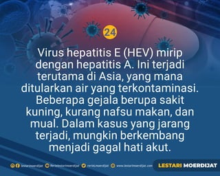 24
Rerielestarimoerdijatlestarimoerdijat rerieLmoerdijat www.lestarimoerdijat.com LESTARI MOERDIJAT
Virus hepatitis E (HEV) mirip
dengan hepatitis A. Ini terjadi
terutama di Asia, yang mana
ditularkan air yang terkontaminasi.
Beberapa gejala berupa sakit
kuning, kurang nafsu makan, dan
mual. Dalam kasus yang jarang
terjadi, mungkin berkembang
menjadi gagal hati akut.
 
