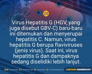 25
Rerielestarimoerdijatlestarimoerdijat rerieLmoerdijat www.lestarimoerdijat.com LESTARI MOERDIJAT
Virus Hepatitis G (HGV, yang
juga disebut GBV-C) baru-baru
ini ditemukan dan menyerupai
hepatitis C. Namun, virus
hepatitis G berupa ﬂaviviruses
(jenis virus). Saat ini, virus
hepatitis G dan dampaknya
sedang diselidiki lebih lanjut.
 