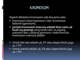 KROMOSOM
Seperti diketahui kromosom ada dua jenis yaitu
 kromosom tubuh (autosom ) dan kromosom
kelamin (gonosom).
 jumlah kromosom manusia adalah khas yaitu 46
buah (23 pasang) yang terdiri dari 22 pasang
autosom dan 1 pasang gonosom, maka formula
kromosom manusia adalah
 Untuk laki-laki adalah 46, XY atau dapat ditulis juga

44 + XY.
 Untuk wanita adalah 46, XX atau dapat ditulis juga
44 + XX.

 