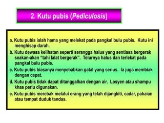 2. Kutu pubis (Pediculosis)
a. Kutu pubis ialah hama yang melekat pada pangkal bulu pubis. Kutu ini
menghisap darah.
b. Kutu dewasa kelihatan seperti serangga halus yang sentiasa bergerak
seakan-akan “tahi lalat bergerak”. Telurnya halus dan terlekat pada
pangkal bulu pubis.
c. Kutu pubis biasanya menyebabkan gatal yang serius. Ia juga membiak
dengan cepat.
d. Kutu pubis tidak dapat ditanggalkan dengan air. Losyen atau shampu
khas perlu digunakan.
e. Kutu pubis merebak melalui orang yang telah dijangkiti, cadar, pakaian
atau tempat duduk tandas.
 