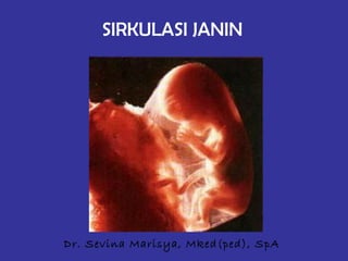 SIRKULASI JANIN 
Dr. Sevina Marisya, Mked(ped), SpA 
 