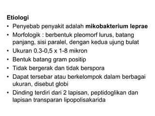 Etiologi
• Penyebab penyakit adalah mikobakterium leprae
• Morfologik : berbentuk pleomorf lurus, batang
panjang, sisi paralel, dengan kedua ujung bulat
• Ukuran 0.3-0,5 x 1-8 mikron
• Bentuk batang gram positip
• Tidak bergerak dan tidak berspora
• Dapat tersebar atau berkelompok dalam berbagai
ukuran, disebut globi
• Dinding terdiri dari 2 lapisan, peptidoglikan dan
lapisan transparan lipopolisakarida
 