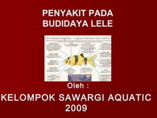 Oleh :
KELOMPOK SAWARGI AQUATIC
2009
PENYAKIT PADA
BUDIDAYA LELE
Oleh :
 