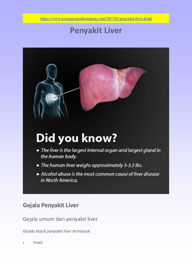 Penyakit Liver