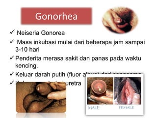 Gonorhea
 Neiseria Gonorea
 Masa inkubasi mulai dari beberapa jam sampai
3-10 hari
 Penderita merasa sakit dan panas pada waktu
kencing.
 Keluar darah putih (fluor albus) dari senggama.
 Keluar nanah dari uretra
 