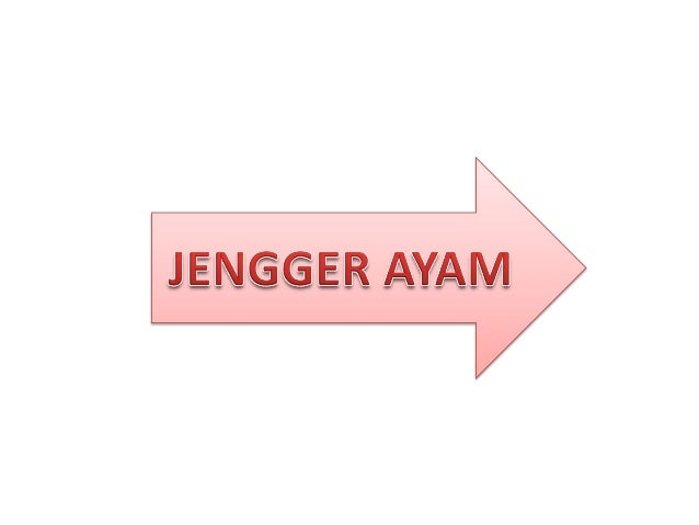 Penyakit menular seksual (pms) editted