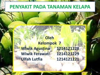 PENYAKIT PADA TANAMAN KELAPA 
Oleh 
Kelompok 7 
Wiwik Agustina 1214121228 
Wiwik Ferawati 1214121229 
Ulfah Lutfia 1214121221 
 