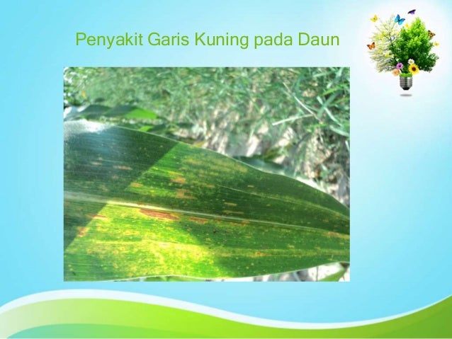 Penyakit Pada Tumbuhan