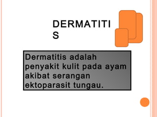 DERMATITI
S
Dermatitis adalah
penyakit kulit pada ayam
akibat serangan
ektoparasit tungau.
 