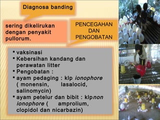 sering dikelirukan
dengan penyakit
pullorum.
Diagnosa banding
 vaksinasi
 Kebersihan kandang dan
perawatan litter
 Pengobatan :
 ayam pedaging : klp ionophore
( monensin, lasalocid,
salinomycin)
 ayam petelur dan bibit : klpnon
ionophore ( amprolium,
clopidol dan nicarbazin)
PENCEGAHAN
DAN
PENGOBATAN
 