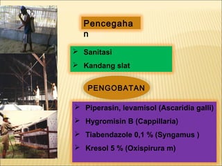  Sanitasi
 Kandang slat
 Piperasin, levamisol (Ascaridia galli)
 Hygromisin B (Cappillaria)
 Tiabendazole 0,1 % (Syngamus )
 Kresol 5 % (Oxispirura m)
PENGOBATAN
Pencegaha
n
 