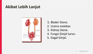 Akibat Lebih Lanjut
Penyakit Prostat
9
Akibat Lebih Lanjut
1. Blader Stone.
2. Uretra melebar.
3. Kidney Stone.
4. Fungsi Ginjal turun.
5. Gagal Ginjal.
 