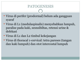 PATOGENESIS Virus di perifer (prodormal) belum ada gangguan syaraf Virus di L1 (medulaspinalis) menyebabkan lumpuh, paralise pada kaki, sesnsibiltas, retensi urine & defekasi Virus di L1 dan L2 timbul kekejangan Virus di thoracal 1-cervical: tetra pareses (tangan dan kaki lumpuh) dan otot intercostal lumpuh 