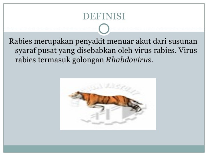 Penyakit rabies Penyakit rabies