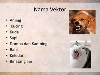 Nama Vektor
•   Anjing
•   Kucing
•   Kuda
•   Sapi
•   Domba dan Kambing
•   Babi
•   Keledai
•   Binatang liar
 