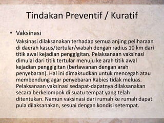 Tindakan Preventif / Kuratif
• Vaksinasi
  Vaksinasi dilaksanakan terhadap semua anjing peliharaan
  di daerah kasus/tertular/wabah dengan radius 10 km dari
  titik awal kejadian penggigitan. Pelaksanaan vaksinasi
  dimulai dari titik tertular menuju ke arah titik awal
  kejadian penggigitan (berlawanan dengan arah
  penyebaran). Hal ini dimaksudkan untuk mencegah atau
  membendung agar penyebaran Rabies tidak meluas.
  Pelaksanaan vaksinasi sedapat-dapatnya dilaksanakan
  secara berkelompok di suatu tempat yang telah
  ditentukan. Namun vaksinasi dari rumah ke rumah dapat
  pula dilaksanakan, sesuai dengan kondisi setempat.
 