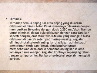 • Eliminasi
  Terhadap semua anjing liar atau anjing yang diliarkan
  dilakukan eliminasi total. Pelaksanaannya dilakukan dengan
  memberikan Strycnine dengan dosis 0,250 mg/ekor. Namun
  untuk eliminasi dapat pula dilakukan dengan cara-cara lain
  seperti dengan jerat atau teknik-teknik yang mungkin biasa
  dilakukan di daerah setempat masing-masing. Kegiatan
  eliminasi total seluruh anjing liar di wilayah administratif
  pemerintah terdepan (desa), dimaksudkan untuk
  membebaskan desa dari keberadaan anjing liar selama-
  lamanya harus menjadi kegiatan kontinyu sepanjang tahun.
  Jangan sampai anjing liar baru terdeteksi setelah menggigit
  korban.
 