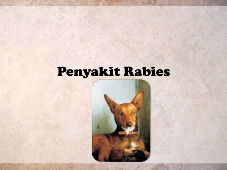 Penyakit rabies
