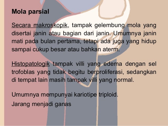 Penyakit serta kelainan plasenta